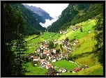 Domy, Góry, Lasy, Alpy, Austria