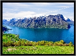 Norwegia, Fiord Aurlandsfjord, Hrabstwo Sogn og Fjordane, Góry, Krzewy, Domy