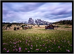 Włochy, Dolina Val Gardena, Góry, Dolomity, Łąka, Kwiaty, Domy