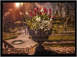 Park, Donica, Kwiaty