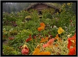 Ogródek, Drewniany, Domek