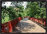 Drewniany, Most, Park, Drzewa