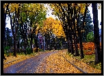 Droga, Drzewa, Domy, Jesień