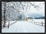 Droga, Drzewa, Śnieg, Zima, Domy