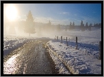 Droga, Śnieg, Drzewa, Mgła, Słońce