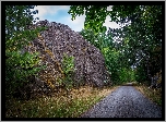 Droga, Głazy, Skały, Drzewa