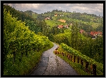 Winnice, Droga, Pola, Domy, Sudsteiermark, Styria, Austria