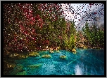 Szwajcaria, Kanton Berno, Jezioro Blausee, Kamienie, Jesień, Las, Drzewa