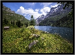 Szwajcaria, Kanton Berno, Góry, Jezioro Engstlensee, Kamienie, Trawa, Drzewa