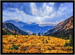 Stany Zjednoczone, Kolorado, Guanella Pass Summit, Góry, Polana, Las, Drzewa, Niebo, Chmury