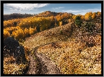 Droga, Drzewa, Wzgórza, Jesień, Kraj Ałtajski, Rosja