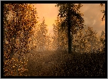 Gra, The Elder Scrolls V: Skyrim, Jesień, Las, Drzewa