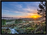 Anglia, Park Narodowy New Forest, Wzgórza, Mgła, Wschód słońca, Drzewa