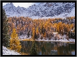 Góry, Jezioro Soubeyran, Drzewa, Ceillac, Francja