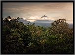Las, Drzewa, Góry, Bali, Indonezja