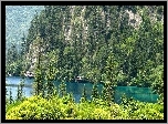 Góry, Drzewa, Jezioro