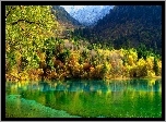 Góry, Drzewa, Jezioro