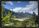 Góry, Drzewa, Kanada