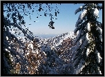 Góry, Drzewa, Śnieg