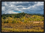 Park Narodowy Grand Teton, Góry, Teton Range, Pole, Drzewa, Chmury, Stan Wyoming, Stany Zjednoczone