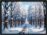 Zima, Śnieg, Las, Drzewa, Droga, Grafika
