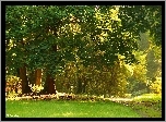 Drzewa, Trawa, Liście, Jesień, Ścieżka