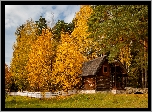 Jesień, Drzewa, Las, Drewniany, Domek, Biały, Płot