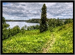 Jezioro, Drzewa, Ścieżka