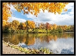 Jezioro, Drzewa, Jesień