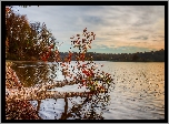Jezioro, Drzewa, Jesień