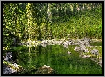 Jezioro, Drzewa, Kamienie