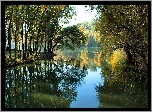 Jezioro, Drzewa, Lato