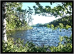 Jezioro, Drzewa, Maine
