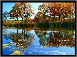 Jezioro, Drzewa, Odbicie