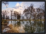 Jezioro, Drzewa, Odbicie