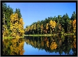 Jezioro, Drzewa, Odbicie