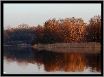 Jezioro, Drzewa, Przedwiośnie
