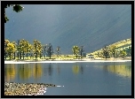 Jezioro, Drzewa, Szopa