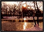 Jezioro, Drzewa, Zima