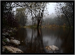 Jezioro, Drzewa, Zmierzch