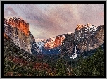 Stany Zjednoczone, Stan Kalifornia, Park Narodowy Yosemite, Góry, Las, Drzewa