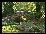 Park, Drzewa, Staw, Lilie wodne, Kamienny, Mostek, Kamienie