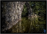 Niemcy, Kromlau, Park Rododendronów, Kamienny, Most łukowy, Jezioro Rakotz, Drzewa