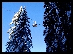 Drzewa, Śnieg, Kolejka, Linowa