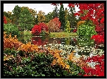 Park, Staw, Kolorowe, Drzewa, Krzewy, Paprocie, Jesień