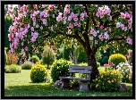 Park, Drzewa, Kwiaty, Ławka, Klomby