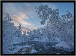Rzeka Kaamasjoki, Wioska Kaamasmukka, Laponia, Finlandia, Zima, Rzeka, Ośnieżone, Drzewa