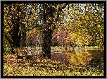Jesień, Drzewa, Ławka, Staw, Park