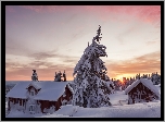 Norwegia, Gmina Lillehammer, Zima, Zachód słońca, Domy, Ośnieżone, Drzewa