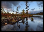 Rosja, Obwód magadański, Jesień, Jezioro Jack London Lake, Drzewa
